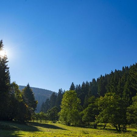 The Conscious Farmer Bed And Breakfast Sauerland Willingen  Exterior photo