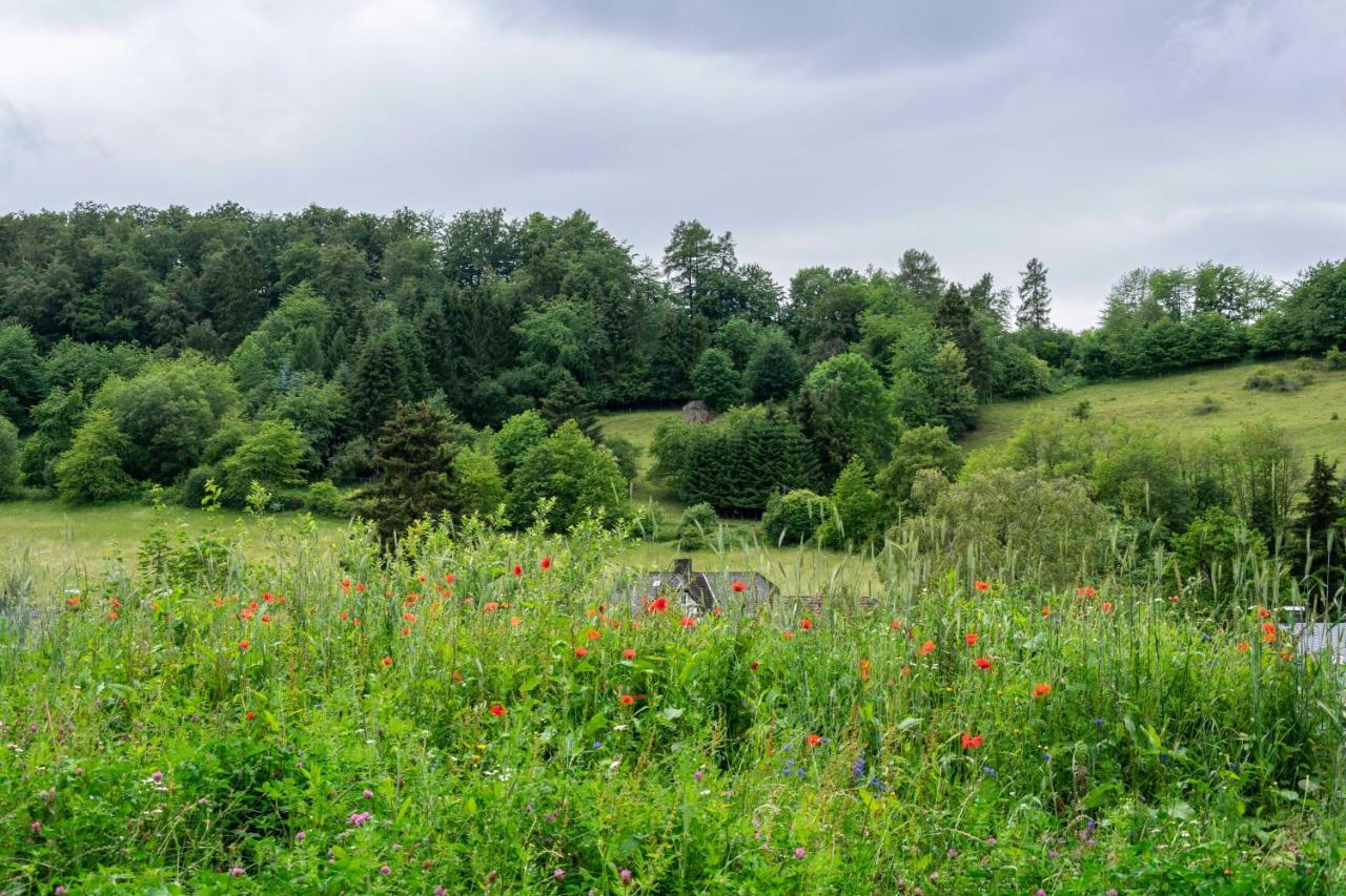 The Conscious Farmer Bed And Breakfast Sauerland Willingen  Exterior photo