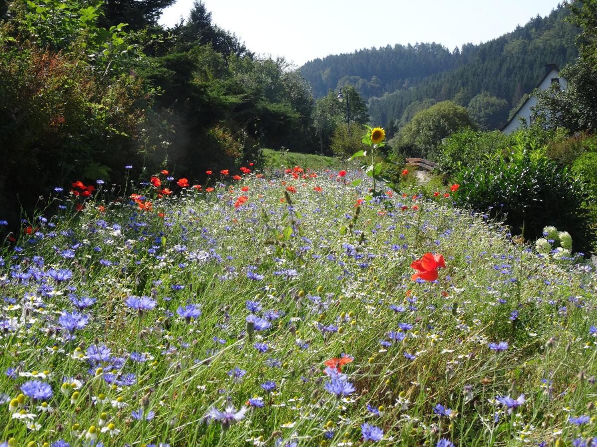 The Conscious Farmer Bed And Breakfast Sauerland Willingen  Exterior photo